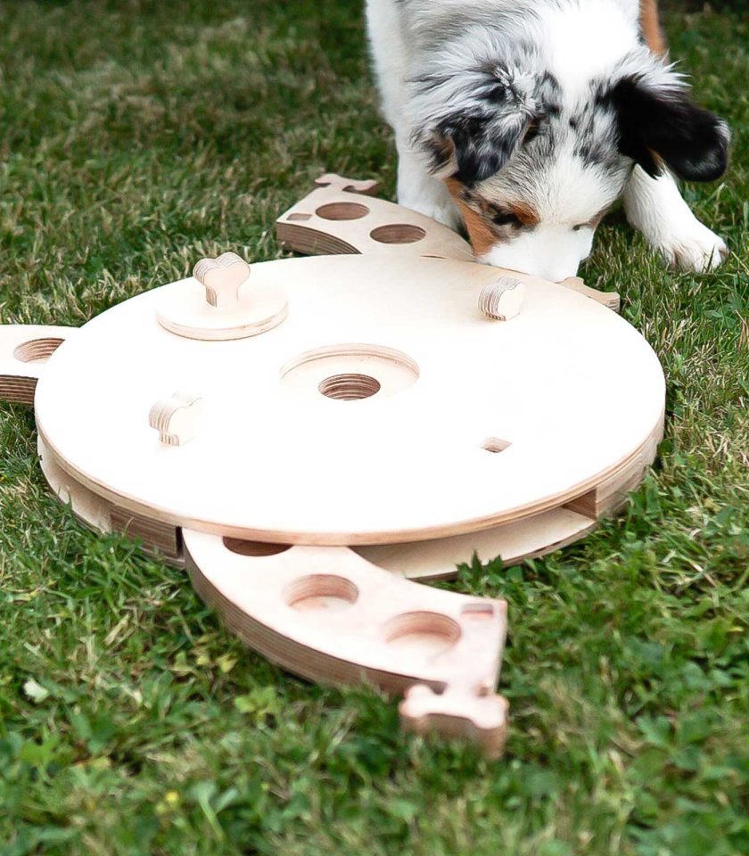 Hunde Intelligenzspielzeug aus Holz