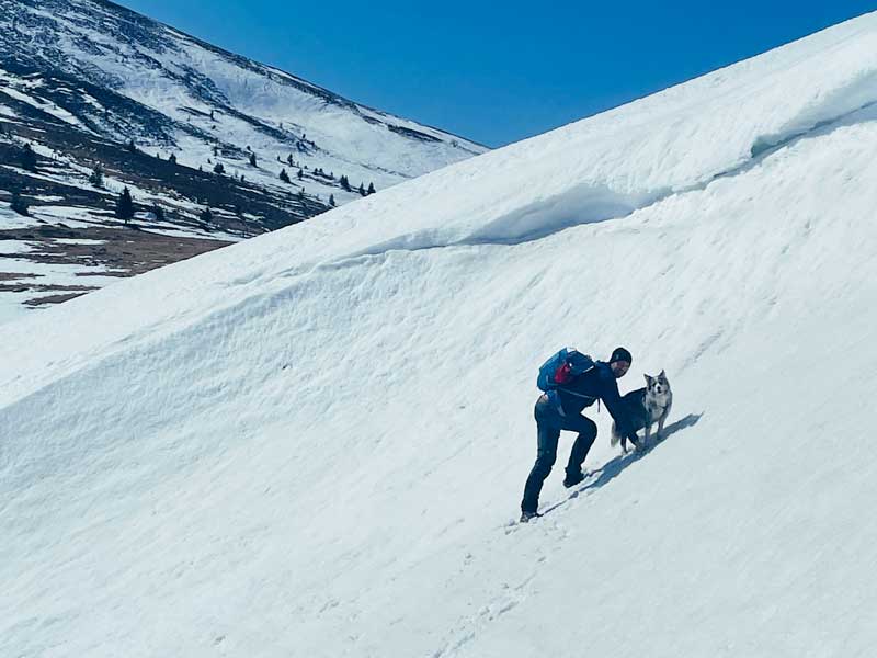 Die Schneejäger