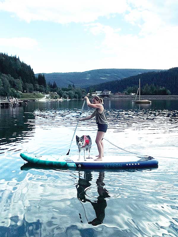 Am SUP mit Hund: Unser Stand Up Paddle Erfahrungsbericht